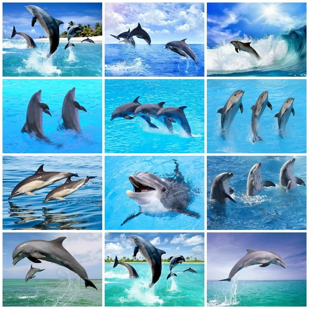 Diamond Tapybos Kvadratiniu Delfinų Kryželiu Diamond Siuvinėjimo Gyvūnų Nuotraukos Cirkonio Rankų Darbas, Hobis Dovana