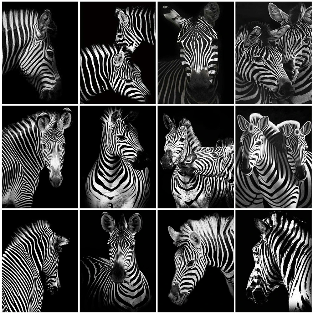 Wen Zuan Gyvūnų Diamond Tapybos 5D kvadratiniu/Apvali Juoda Juoda Deimantų Siuvinėjimo Zebra Vaizdo Amatų Kryželiu Rinkinys Dovanų