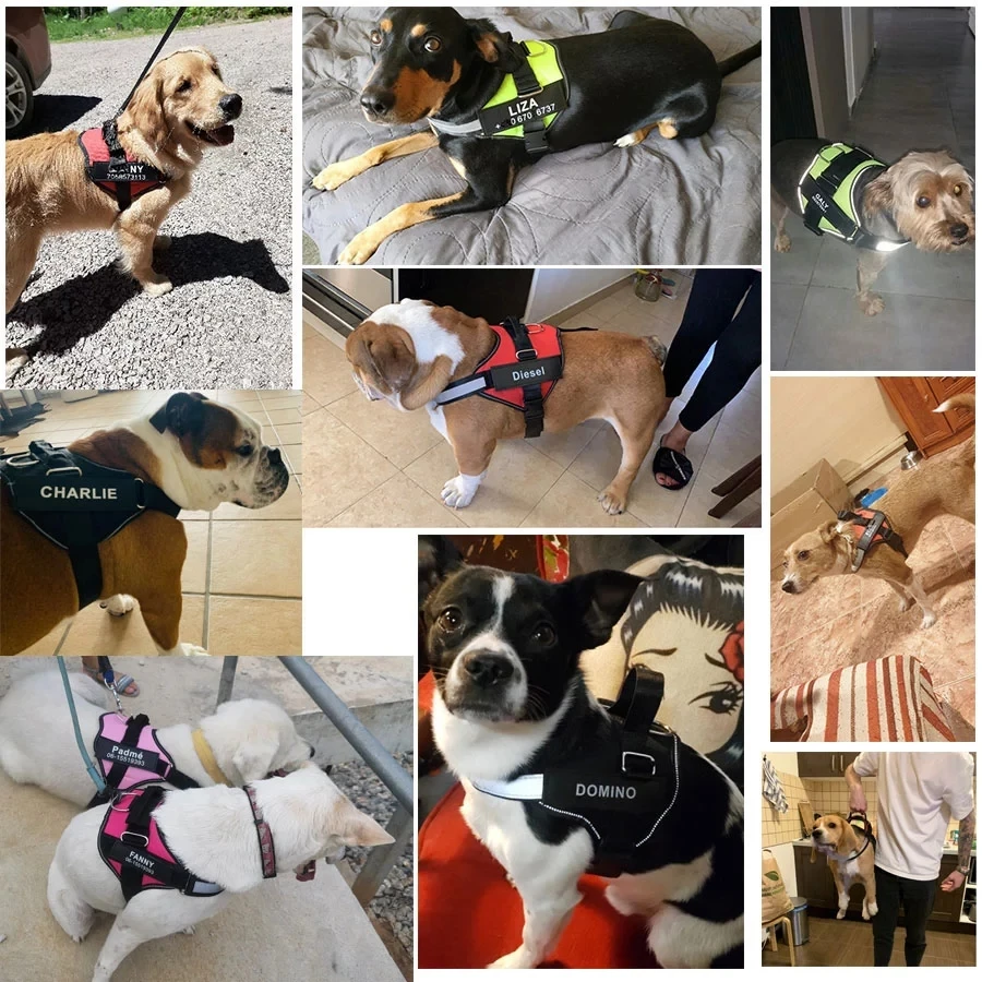 NAUJAS Šuns Pakinktai Atspindintis Orui Reguliuojamas Pet Balnai Šunį Vest ID Custom Patch Lauko Pėsčiomis Šunų Reikmenys
