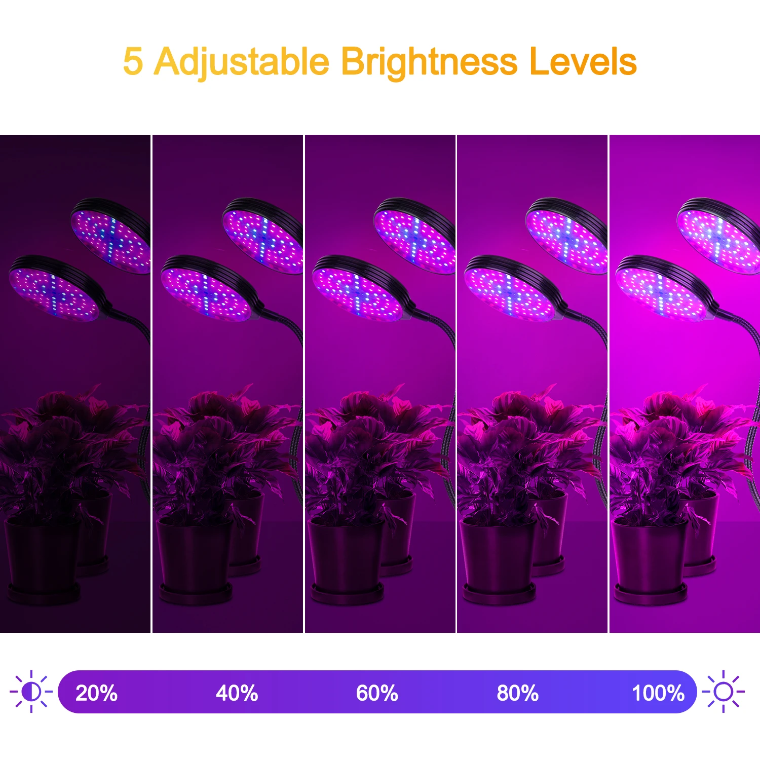 Suntech,Visą Spektrą Phytolamps,5V USB LED Grow Light Su Laikmačiu, Darbalaukio Įrašą Fito Lempos Augalams Šiltnamio efektą sukeliančių Žibintai