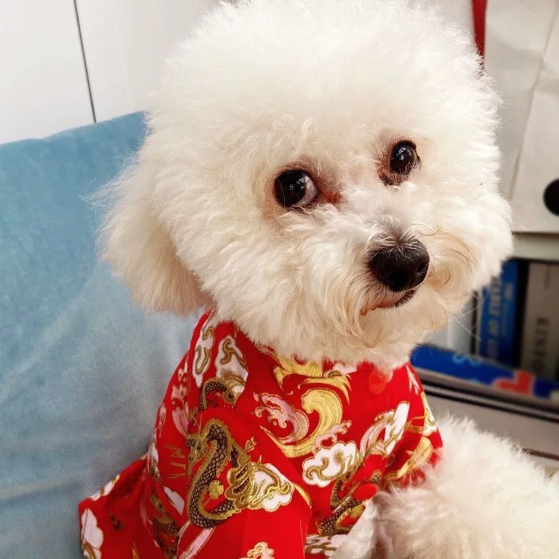 Naminių Šunų Apranga Žiemą Šunų Kailio Striukė Šuo Tango Kostiumas Už Kinijos Naujųjų Metų Pavasario Šventė Pet Drabužiai Šunims Kostiumas