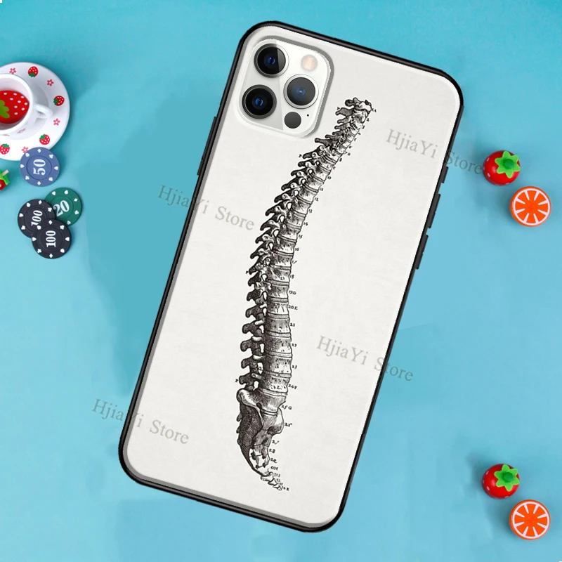 Medicinos Žmogaus Anatomija Telefono dėklas Skirtas iPhone 12 Pro Max 12 Mini SE 2020 m. 8 7 Plius 11 Pro Max X XS Max XR Dangtis