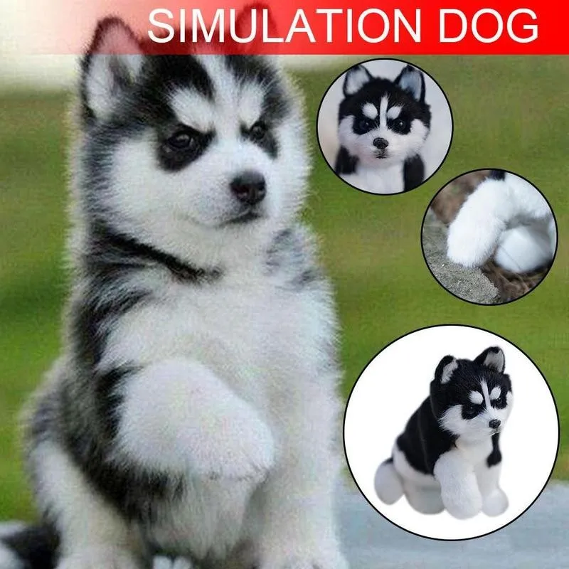Realus Haskių Šunų Modeliavimas Žaislas Iškamša Šuo Gyvas, Įdaryti Gyvūnų Augintinių Pliušinis Šuniukas Vaikams Rankų Darbo Šuns Žaislai