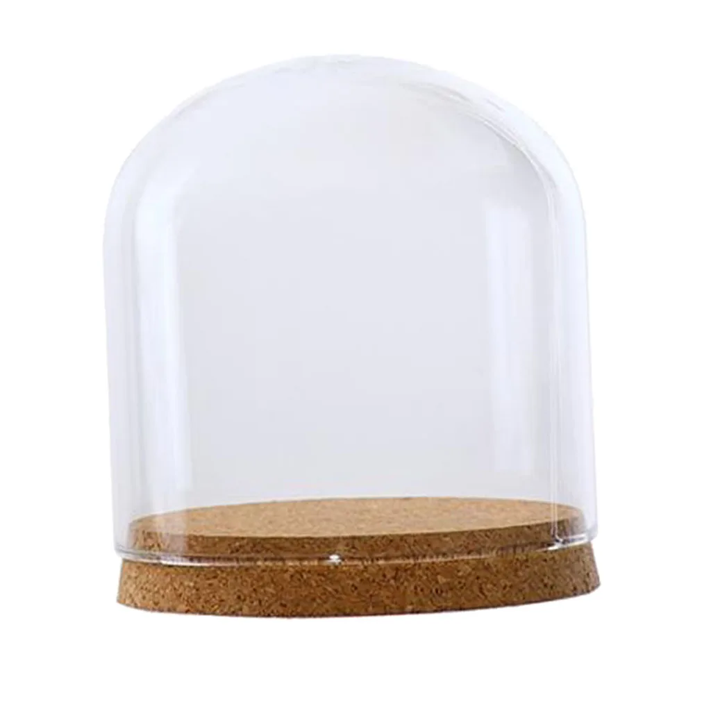 Dekoratyvinis skaidraus Stiklo Cloche Bell Jar Rodyti Bylą su Kaimiškas Medienos Bazė/Stalo Puošmena Dome Dia. 12cm