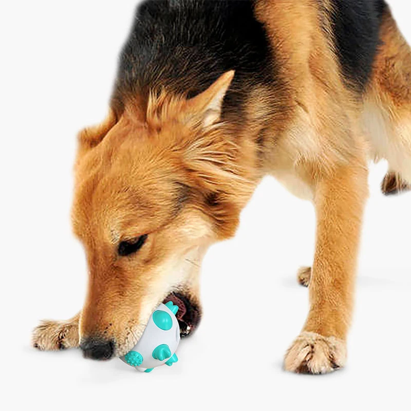 1PC Pet Žaislas Dantų Valymo Kamuolys Bite-atspari Molinė Šuns dantų Šepetėlis Interaktyvios Mokymo Šuns Žaislas Šuo Naminių Produktų
