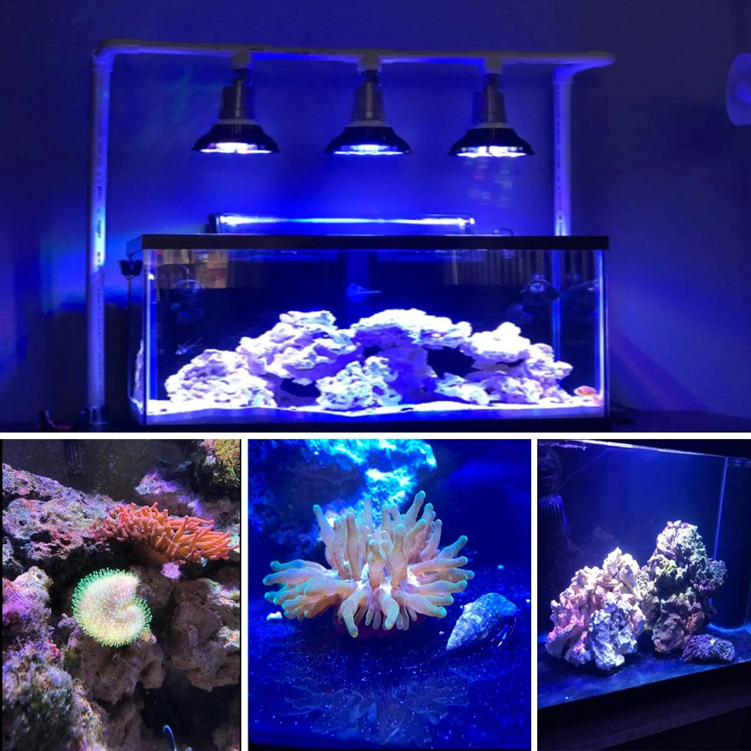 LED Akvariumo Lemputės Visą Spektrą 12W/15W/18W/36W/45W/54W E27 Apšvietimas, Mažas Nano Koralų Rifų Žuvų Bakas Pico Akvariumas D30