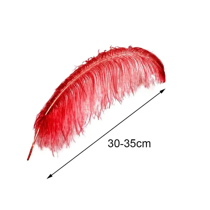 30-35cm stručio plunksna spalvotų plunksnų etape apdailos stručių rekvizitai veiklos apdailos plunksnų D5R6