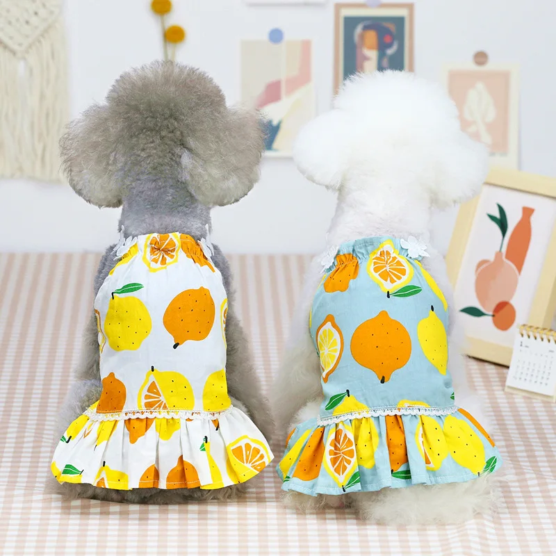 Pet drabužiai, mažų šunų Naujas stilius šunų drabužiai Nauji citrinų sijonas pavasario ir vasaros Vaisių spausdinimo Katė mažų šunų suknelė
