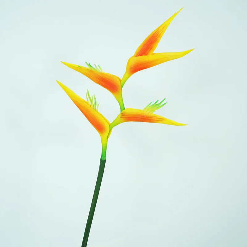 Aukštos kokybės Strelitzia gėlių vertus jausti nedidelį povas Europos kūrybingų gyvenimo kambario sienos apdaila netikrą tropinių augalų