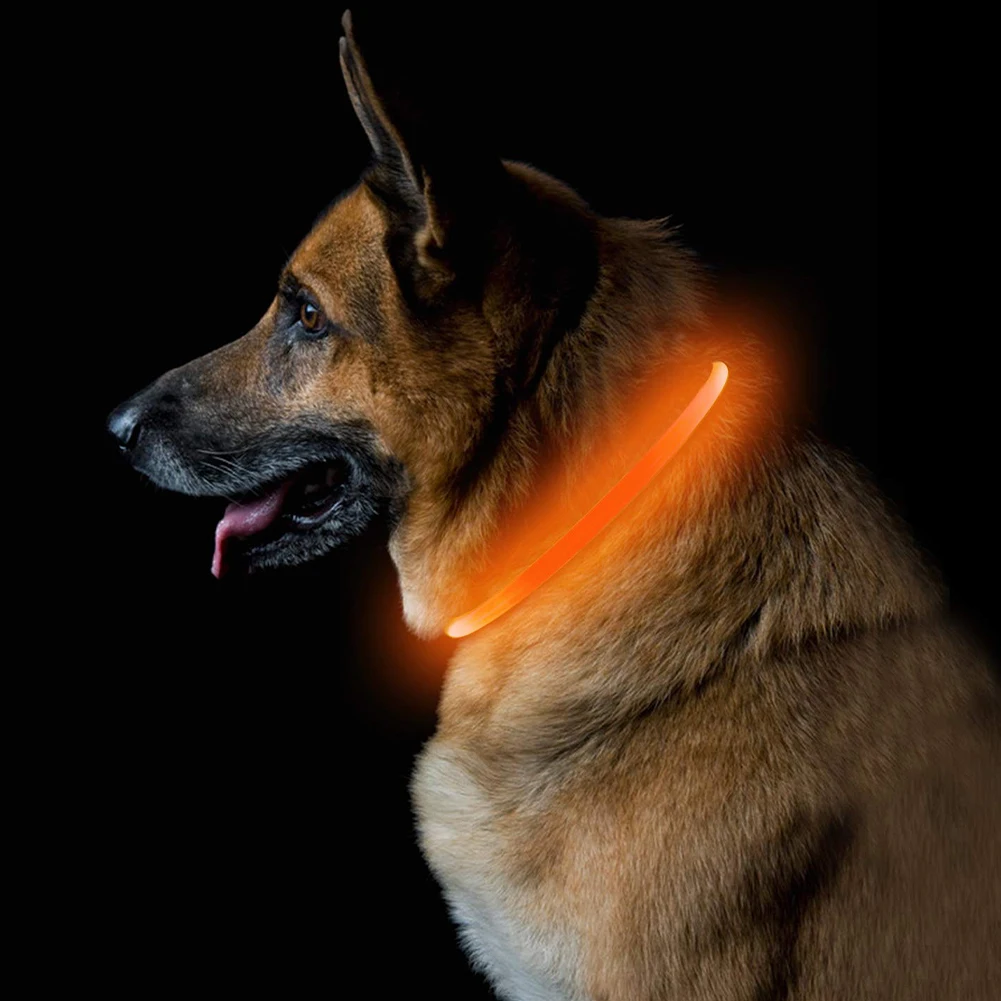 LED USB Šunų Antkaklis Naminių Šunų Antkaklis Naktį Šunų Antkakliai Žėrintis Šviesos Įkraunamas LED Naktį Saugos Mirksi Švyti 70CM