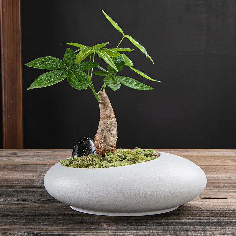 Didelio kalibro keramikos vazonas augalų mikro-kraštovaizdžio vazoninių augalų biure balkonas keramikos kvėpuojantis vazonas medžio puodą