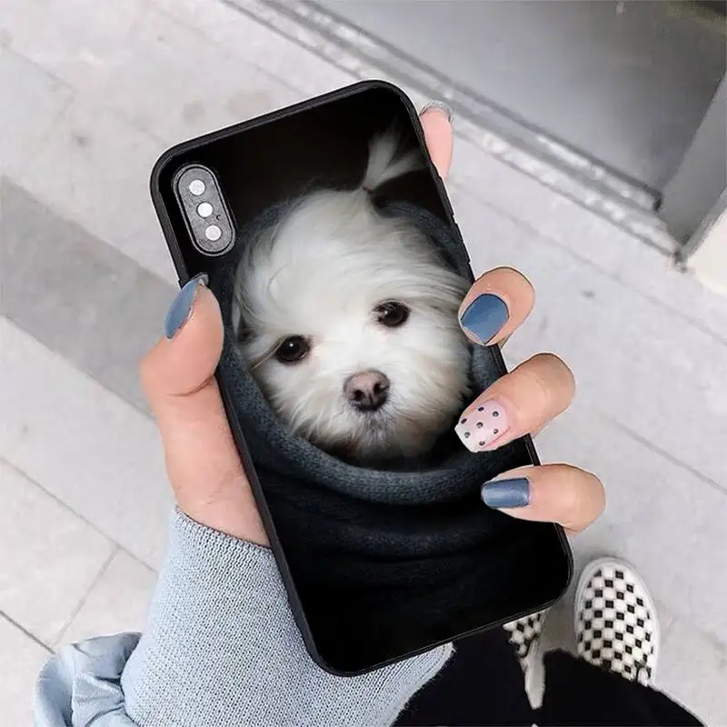 FHNBLJ Maltiečių Šuo Šuniukas Telefono dėklas skirtas iPhone 11 12 pro XS MAX 8 7 6 6S Plus X 5S SE 2020 XR dangtis