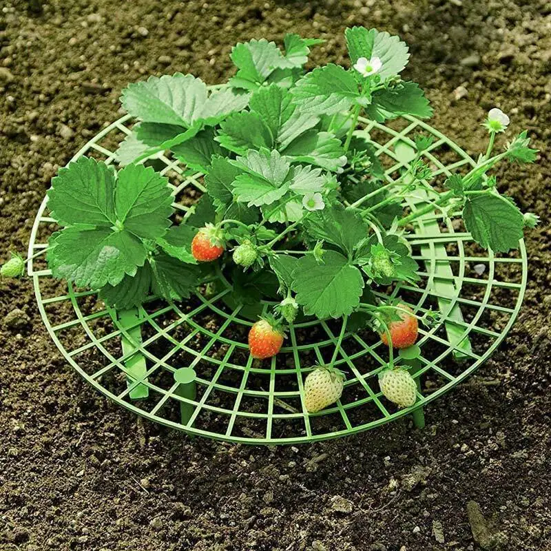 Braškių Daržovių Auginimo Paramos Stovo Lengva Įdiegti Plastikinių Įrankių Gėlių Ramstis Sodo Laikiklio Stovas Sodo Reikmenys
