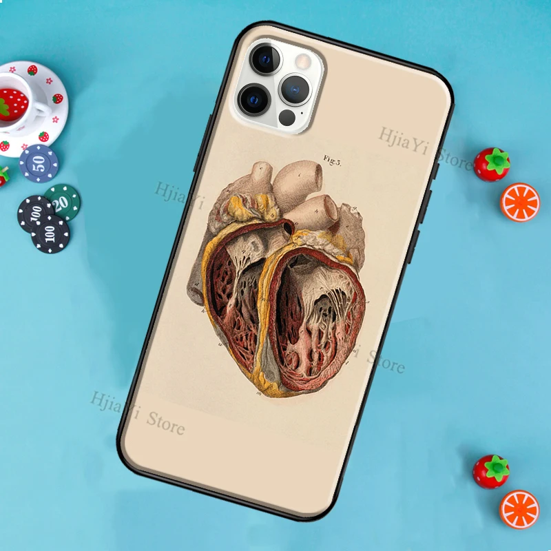 Medicinos Žmogaus Anatomija Telefono dėklas Skirtas iPhone 12 Pro Max 12 Mini SE 2020 m. 8 7 Plius 11 Pro Max X XS Max XR Dangtis