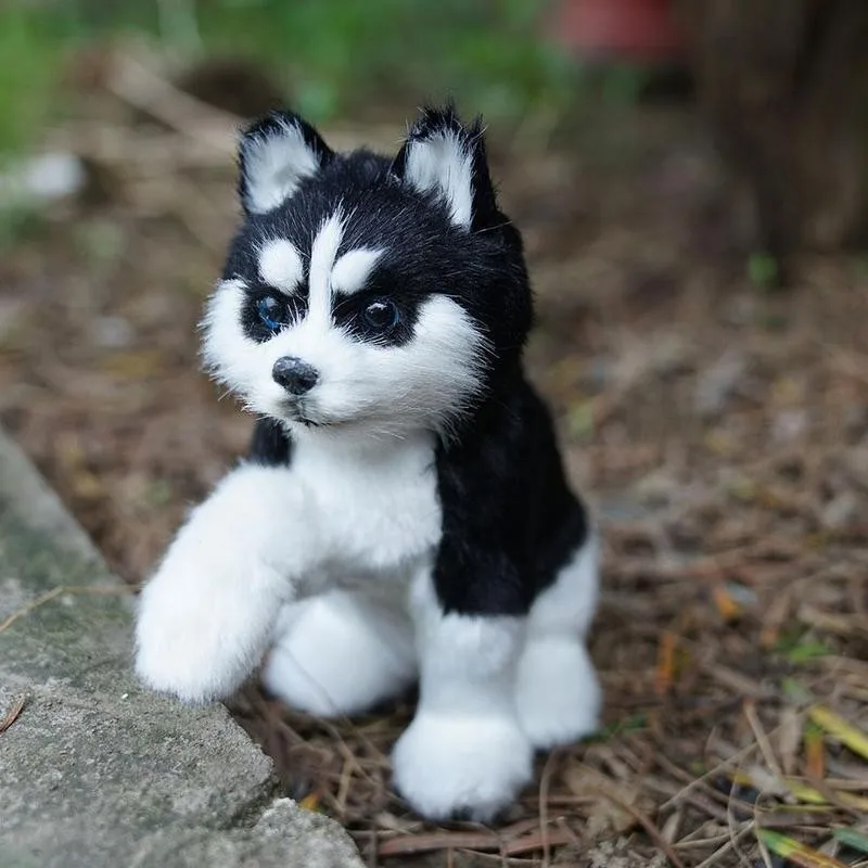 Realus Haskių Šunų Modeliavimas Žaislas Iškamša Šuo Gyvas, Įdaryti Gyvūnų Augintinių Pliušinis Šuniukas Vaikams Rankų Darbo Šuns Žaislai