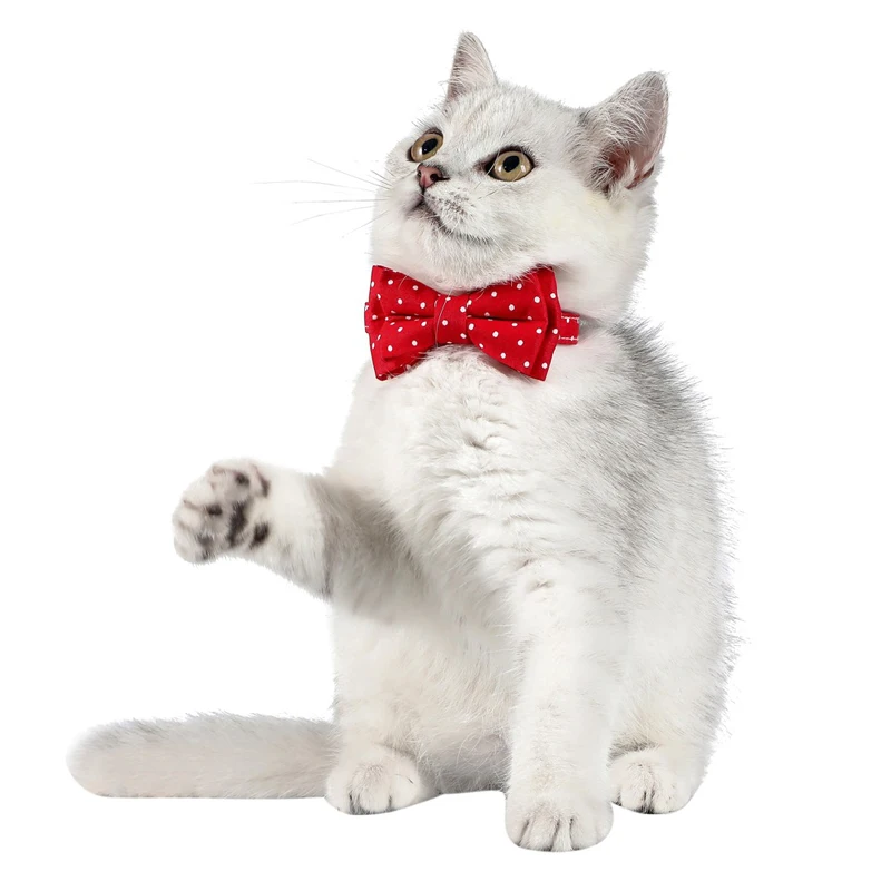 Mielas Bowknot Kačių Antkaklis Dot Modelis Augintiniai Seilinukai Reguliuojamas Kačiukas Karoliai Peteliškę Saugos Sagtis Šuniuką Čihuahua Bandana Prekes
