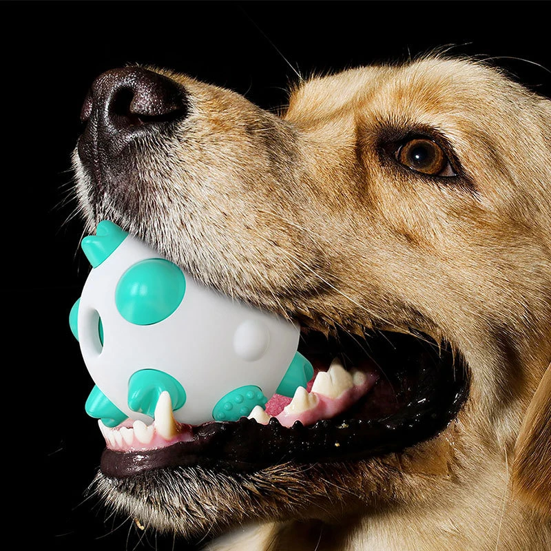 1PC Pet Žaislas Dantų Valymo Kamuolys Bite-atspari Molinė Šuns dantų Šepetėlis Interaktyvios Mokymo Šuns Žaislas Šuo Naminių Produktų