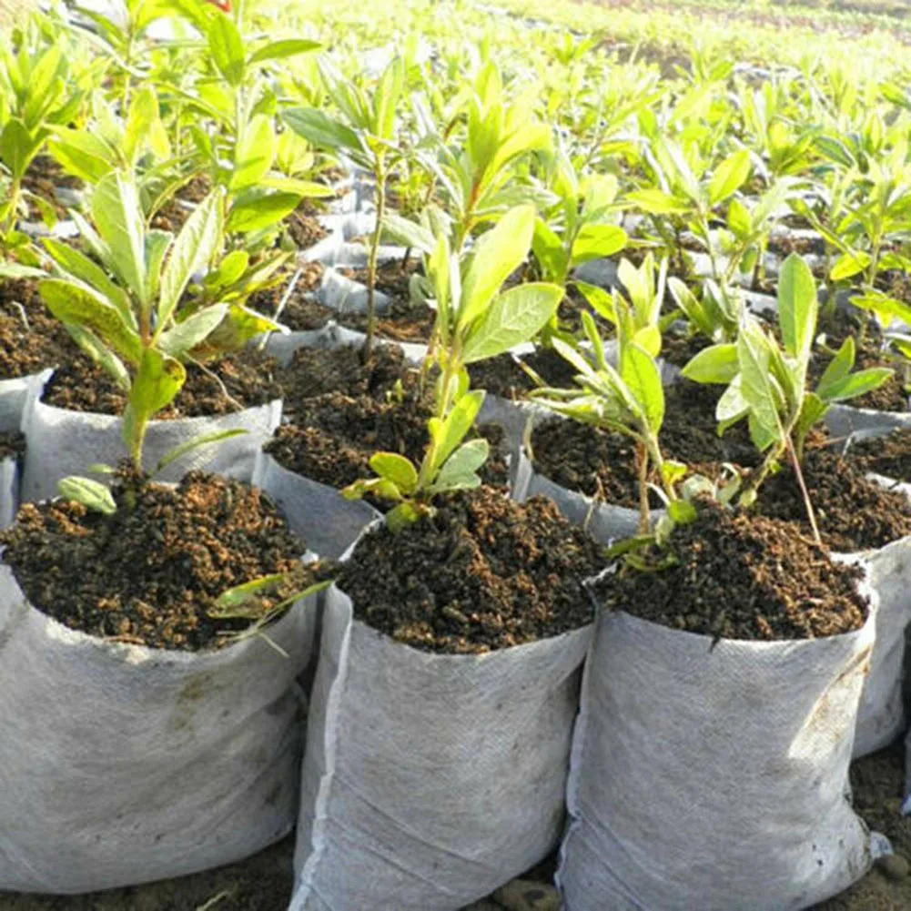 100vnt Biologiškai neaustinių Darželio Krepšiai Augalų Auga Krepšiai Daigų Sodinimo Puodai