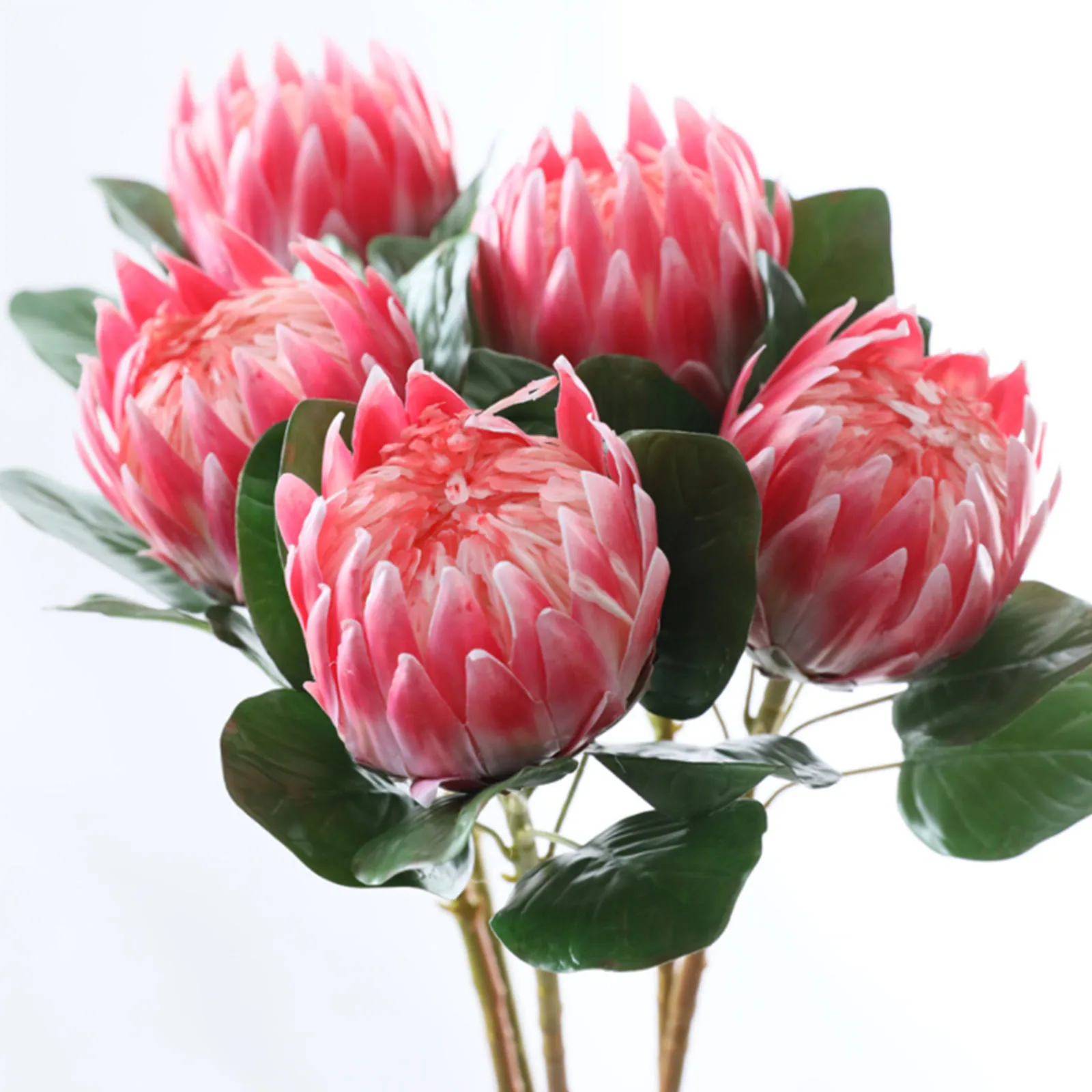 Dirbtinis Protea Gėlių Šilko Bendrą Europos Stiliaus Gėlių Vestuves Tiekimo Foto Rekvizitai Netikrą Modeliavimas Magnolija Gėlės