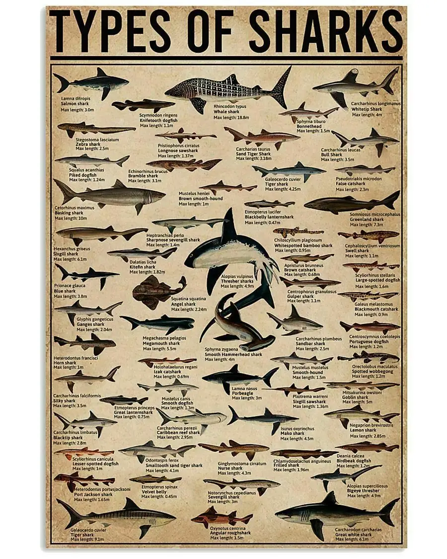 Visų Rūšių Ryklių Plakatas Skelbimas apie Naras už Dekoro Vonios kambarys Dovana Naras Ženklus, Senovinius Kelio Ženklai Aukštos Būdu Alavo Metalo Ženklas